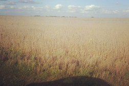 Центральная библиотека Яковлевского района, с рейтингом 5 - находится по адресу Белгородская область, Строитель, Юбилейная улица, 1 