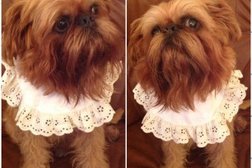 Зоомагазин Какаду, с рейтингом 3.5 - находится по адресу Калининград, улица Генерала Галицкого, 2-4 