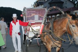 Баня У Михалыча, с рейтингом 3.7 - находится по адресу Алтайский край, Белокуриха, Алтайская улица, 13 