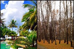 Турагентство Pegas touristik, с рейтингом 2 - находится по адресу Москва, Фестивальная улица, 13 к1 