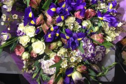 Простоцветы