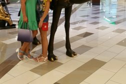 Мегацентр Коsмос, с рейтингом 3.2 - находится по адресу Ставрополь, улица Доваторцев, 75а 