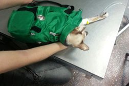 Клиника Доктор Айболит, с рейтингом 2 - находится по адресу Новосибирская область, Бердск, Промышленный переулок, 2А 