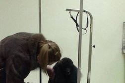 Ювелирный магазин Кристалл, с рейтингом 5 - находится по адресу Ставрополь, улица Дзержинского, 131 