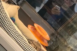 Зоомагазин Бетховен, с рейтингом 4.4 - находится по адресу Самара, улица Дыбенко, 30 