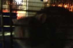 Автозаправка Омни, с рейтингом 4 - находится по адресу Иркутск, улица Мира, 2Б 