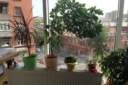 БЦ Бригантина холл, с рейтингом 5 - находится по адресу Москва, Новолесная улица, 2 
