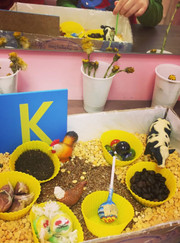 Логопед Елена Александровна Шелагурова