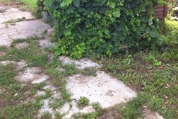 Кафе Русский транзит, с рейтингом 3 - находится по адресу Тамбовская область, пос. Пудовкин, трасса Р-22 440 км, 2 