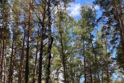 Развлекательно-оздоровительный комплекс Discovery Borovoe, с рейтингом 5 - находится по адресу Акмолинская область, с. Катарколь, Северо-восточный берег озера Катарколь, 1 