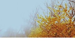 Пункт выдачи заказов 100sp, с рейтингом 3.5 - находится по адресу Владивосток, улица Калинина, 3 