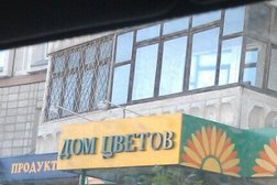 Дом цветов, с рейтингом 3.2 - находится по адресу Омск, улица 70 лет Октября, 20 