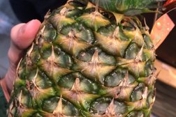 Супермаркет Супер Лента, с рейтингом 4.3 - находится по адресу Москва, Зеленоград, Зеленоград, к1006а 