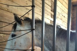 Фонд Тихомировых Иркутский общественный благотворительный фонд, с рейтингом 4.3 - находится по адресу Иркутская область, д. Грановщина, улица Загоскина, 144 