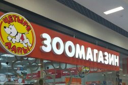 Зоомагазин Четыре лапы, с рейтингом 4.9 - находится по адресу Воронеж, бульвар Победы, 23Б 