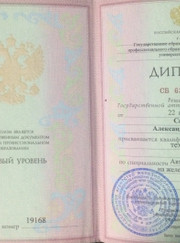 Электрик, электромонтажник Александр Петрвич Савельев