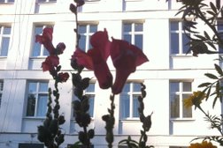 Начальная школа Школа №609, с рейтингом 3.2 - находится по адресу Москва, Зеленоград, Зеленоград, к341а 