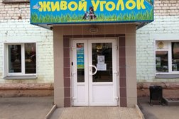 Живой уголок