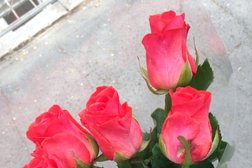 Магазин Планета цветов, с рейтингом 4 - находится по адресу Волгоград, Советская, 12 