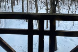 Парк культуры и отдыха Сокольники, с рейтингом 4 - находится по адресу Москва, Сокольнический Вал улица, 1 ст1 