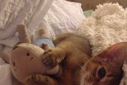 Зооцентр ЗооПланета, с рейтингом 3 - находится по адресу Московская область, Химки, улица Кирова, 16/10 