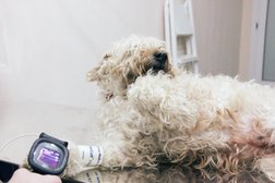 Ветеринарная клиника Альтернатива, с рейтингом 2.6 - находится по адресу Московская область, Балашиха, микрорайон Железнодорожный, Колхозная улица, 12, корп. 3 