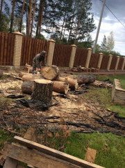 Благоустройство территории Андрей Сергеевич Полыгалов