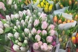 Гипермаркет Гипер Лента, с рейтингом 2.6 - находится по адресу Воронеж, Московский проспект, 129/1 