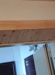 Грузчик, курьер Евгений Алексеевич Фролов