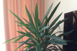 Автосервис Барс Авто, с рейтингом 3.5 - находится по адресу Республика Татарстан, Казань, улица Родины, 1 