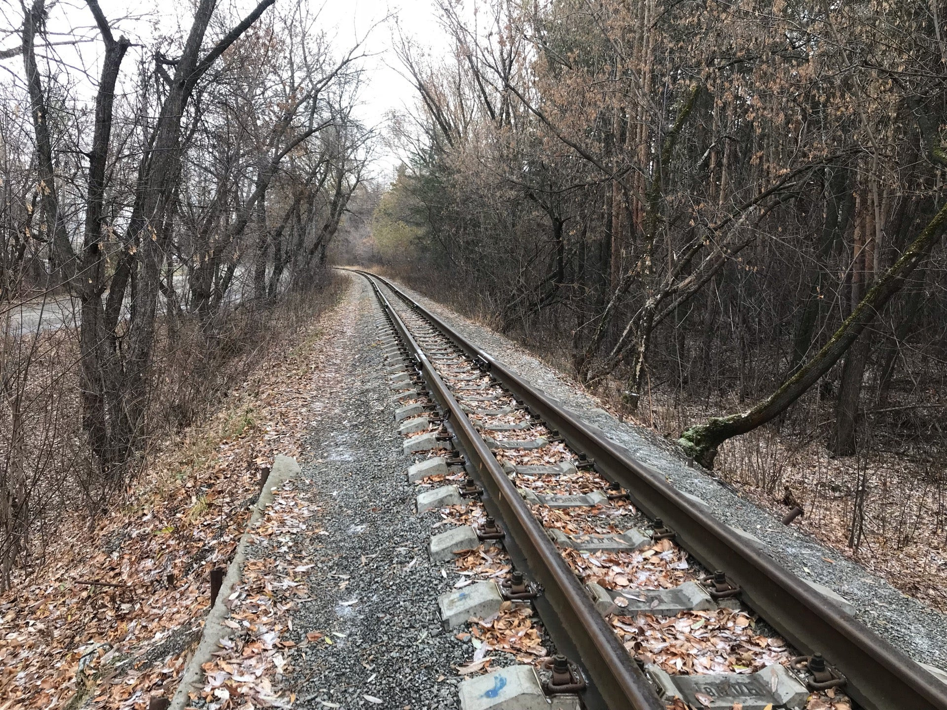 Магазины спортивного питания в Челябинске рядом со мной на карте ...